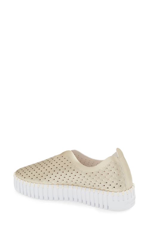 Ilse Jacobsen Tulip Sneaker In Platino
