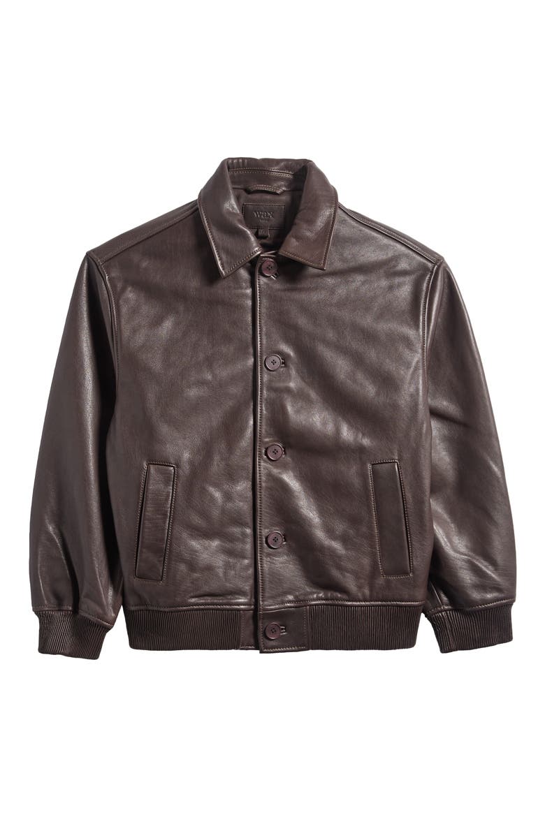 Fitzroy Leather Flight Jacket, Alternate, color, DARK BROWN