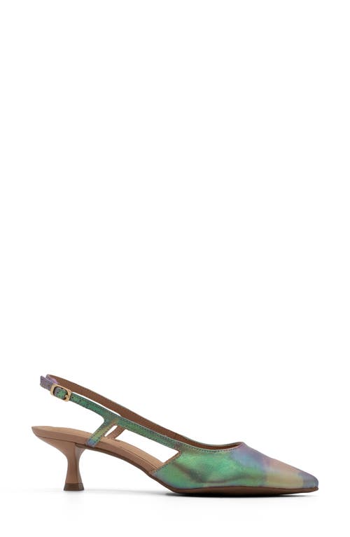 Bottero Botolivia Legacy Pointed Toe Slingback Pump