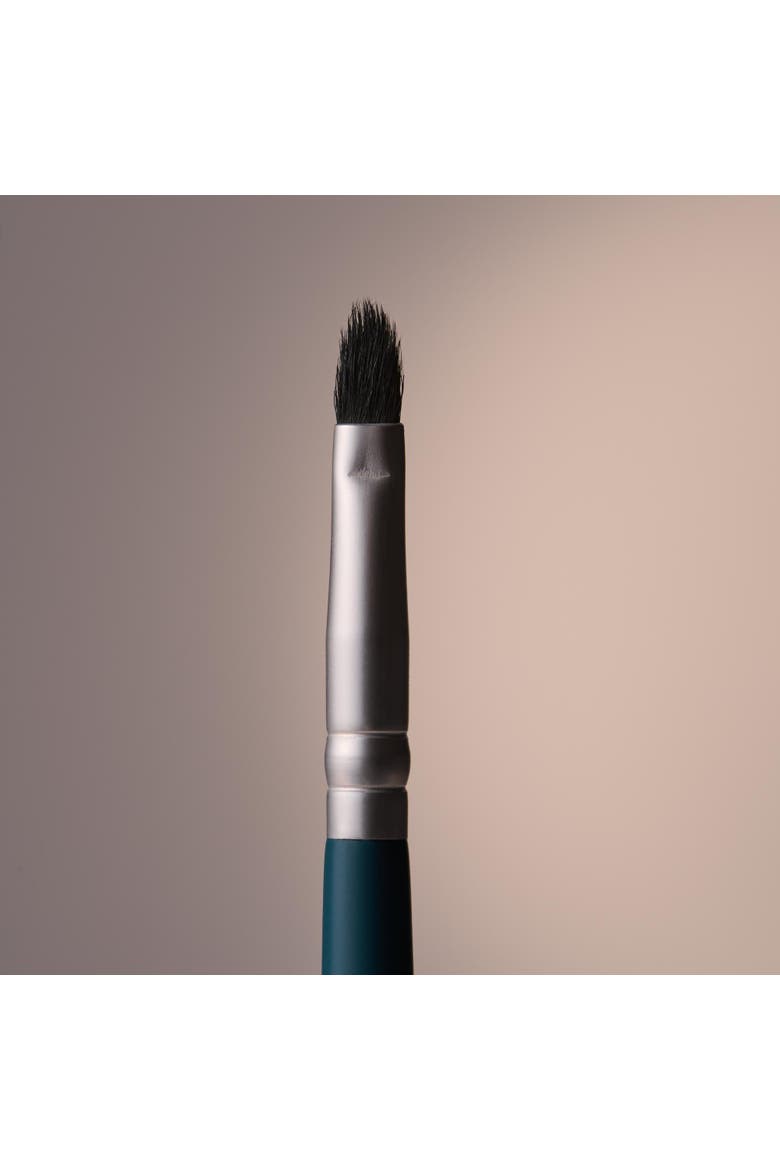 Brush 01, Alternate, color, Clear