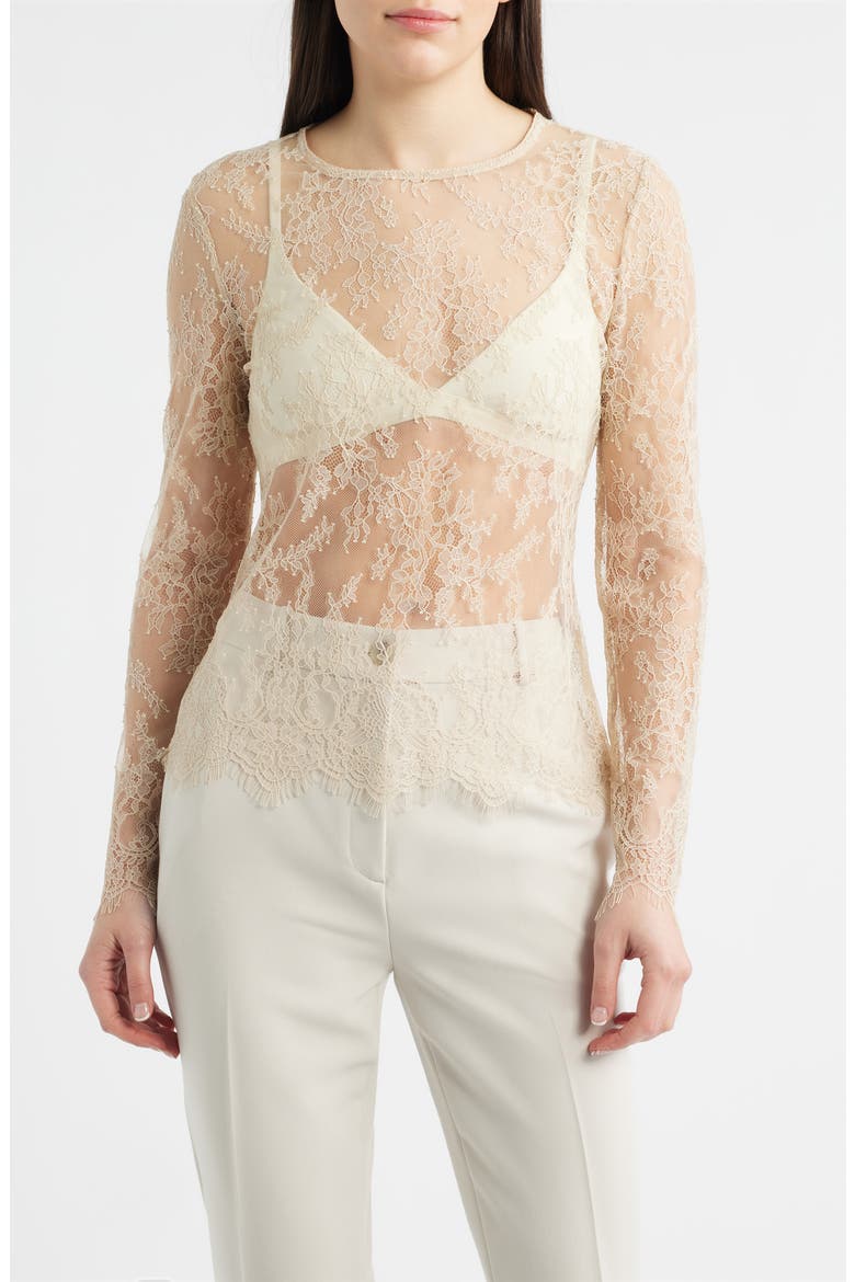 Fallon Sheer Lace Top, Main, color, ANTIQUE