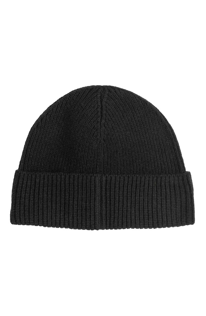 Polo Ralph Lauren Holiday Dog Beanie, Alternate, color, Polo Black