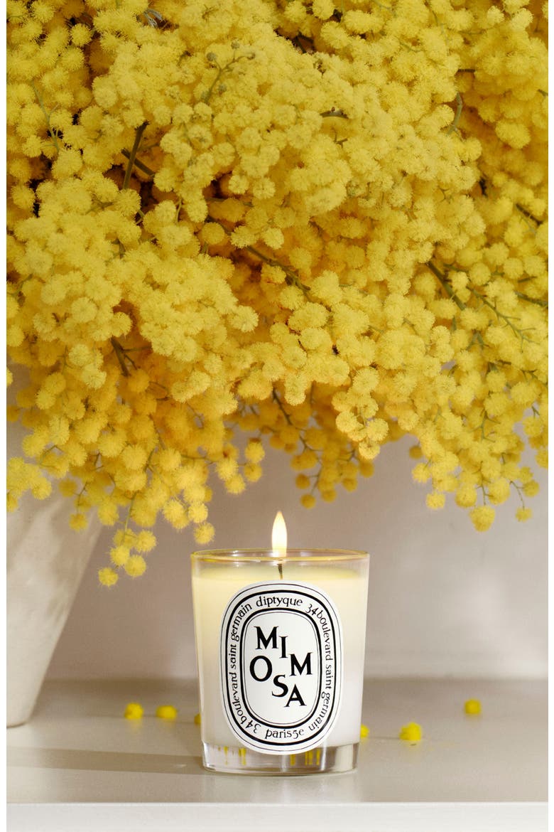 Mini Mimiosa Sccented Candle, Alternate, color, NO COLOR