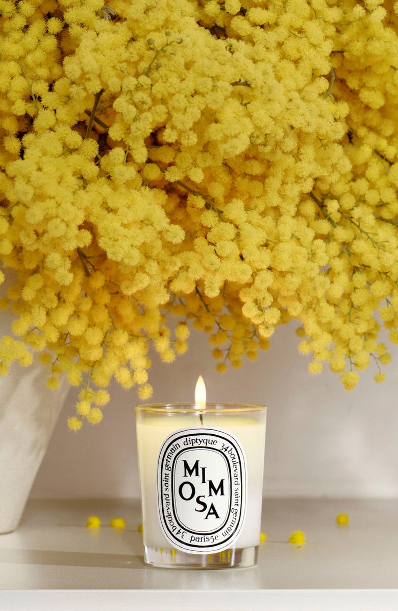 Diptyque Mini Mimiosa Sccented Candle, Alternate, color,
