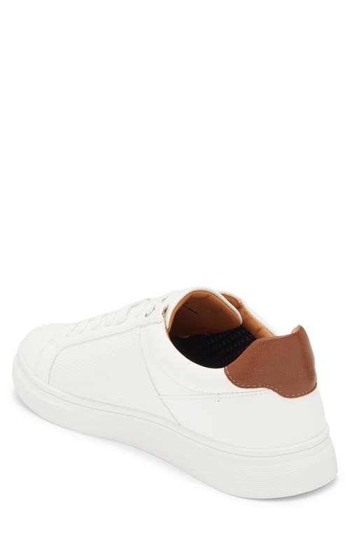 Steve Madden Strouz Low Top Sneaker In White