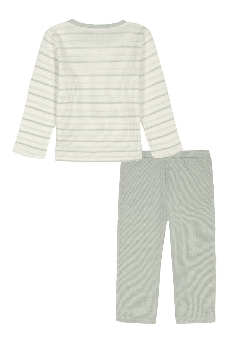 Long Sleeve Henley & Knit Pants Set, Alternate, color, GREEN MULTI
