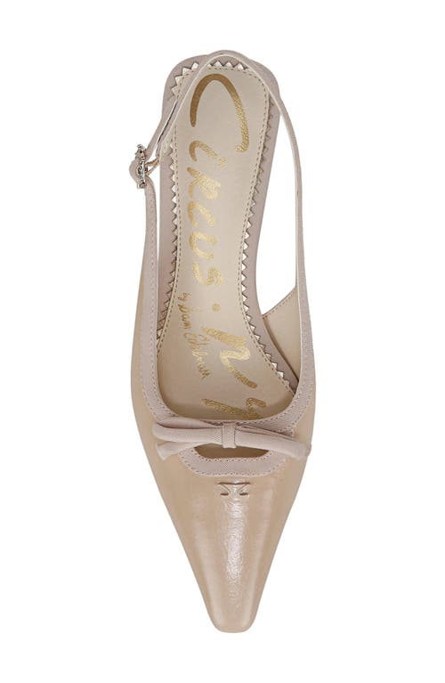 Circus Ny By Sam Edelman Cassidy Pointed Toe Slingback Pump