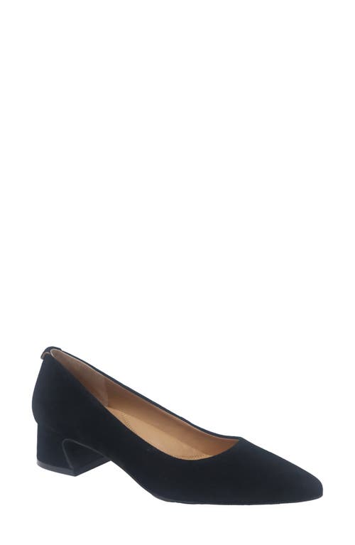 Gentle Souls Gardena Pointed Toe Pump In Black