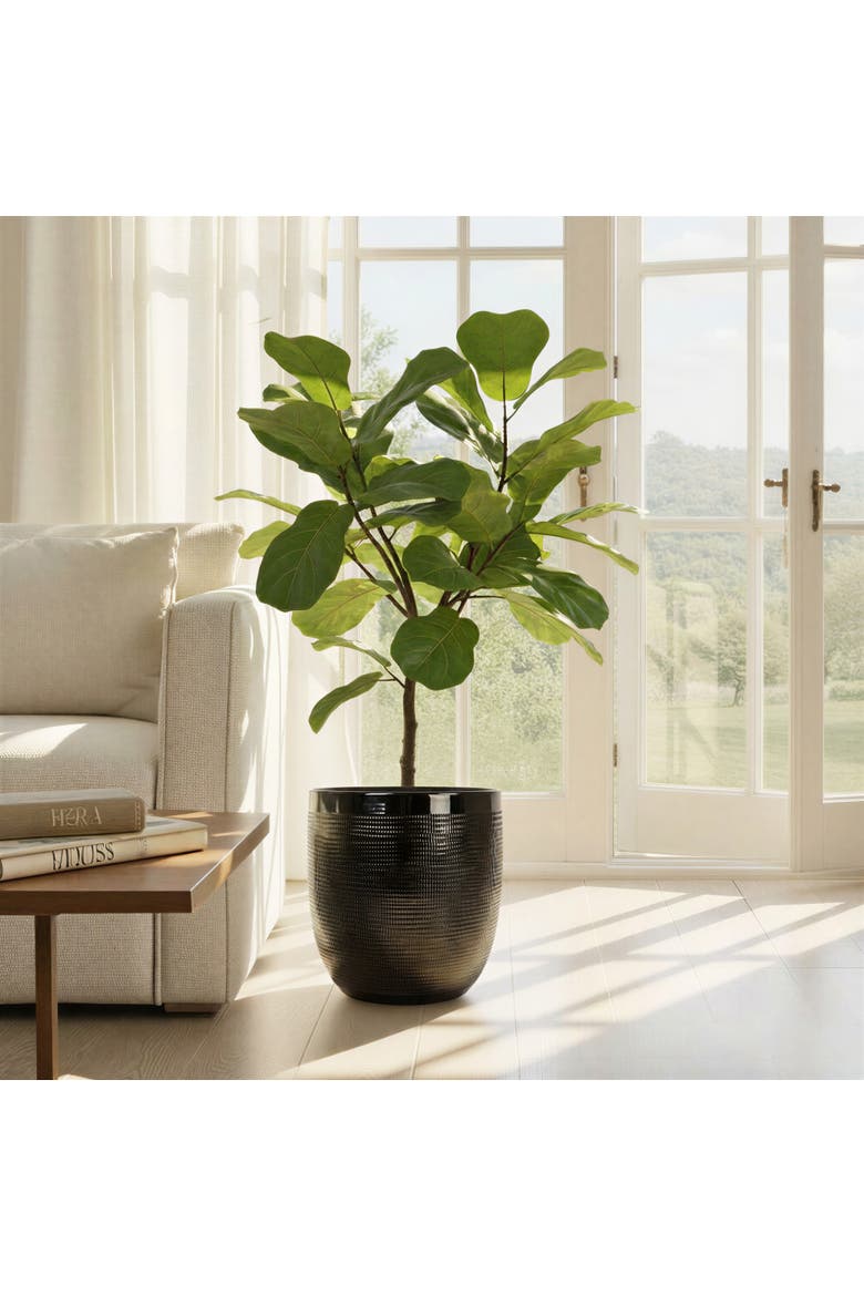 Textured Stoneware Planter, Black, Alternate, color, Black