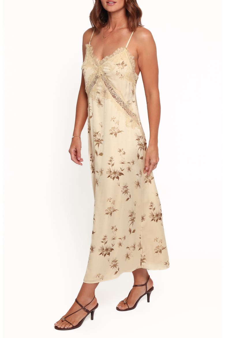 Capaldi Floral Lace Trim Maxi Dress, Alternate, color, SAND FLORAL