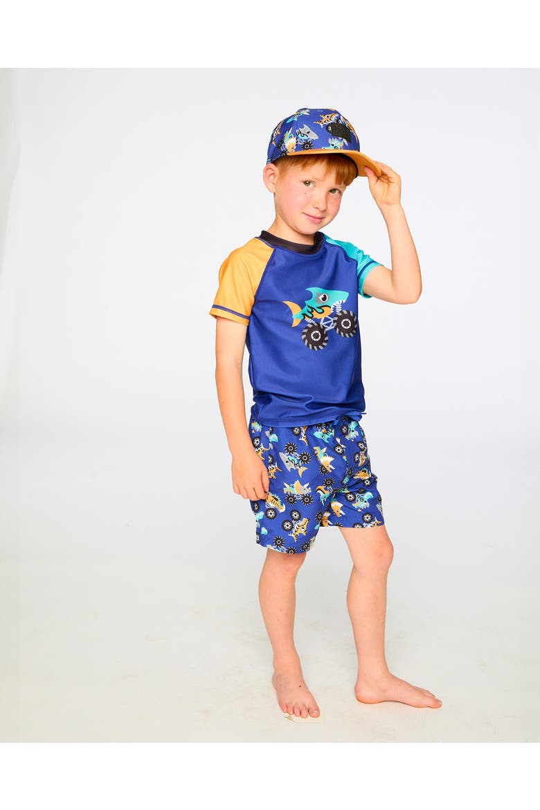 Mid Thigh Elastic Waist Truck Boardshorts, Alternate, color, Blue Printed Trucks