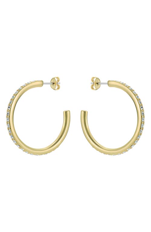Ted Baker Clanci Medium Crystal Hoop Earrings In Gold
