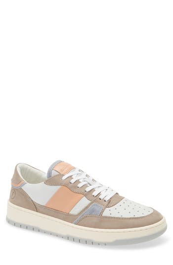 Collegium Alpha Sneaker In Multi