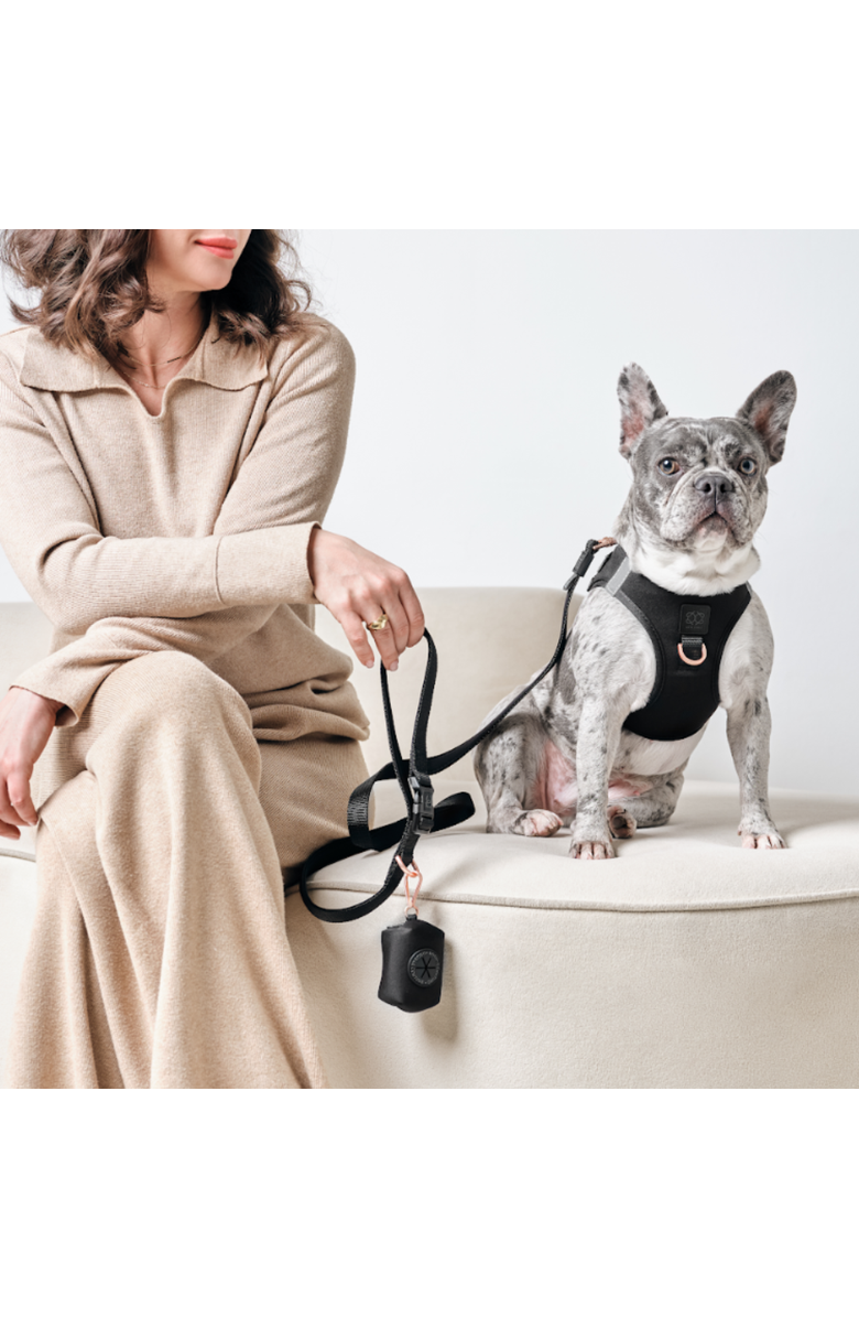 Dogistry SoHo Dog Harness, Alternate, color, Black - Extra Large