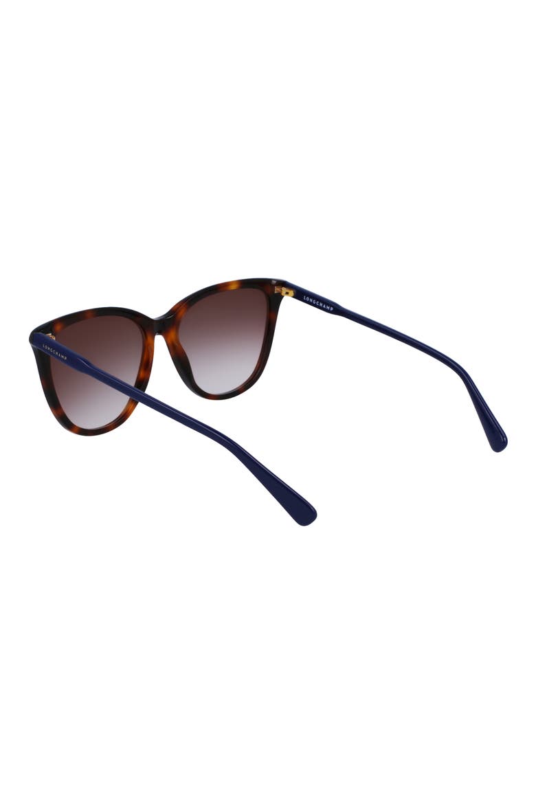 Le Pliage 56mm Gradient Tea Cup Sunglasses, Alternate, color, HAVANA