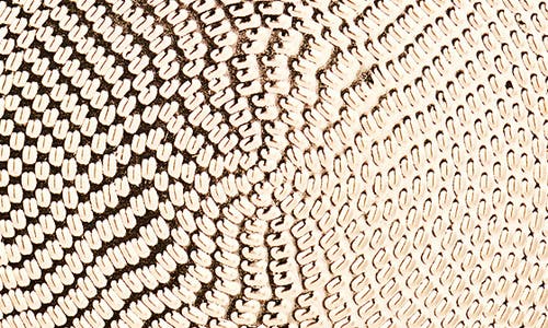 Tasha Textured Double Medallion Drop Earrings In Gold