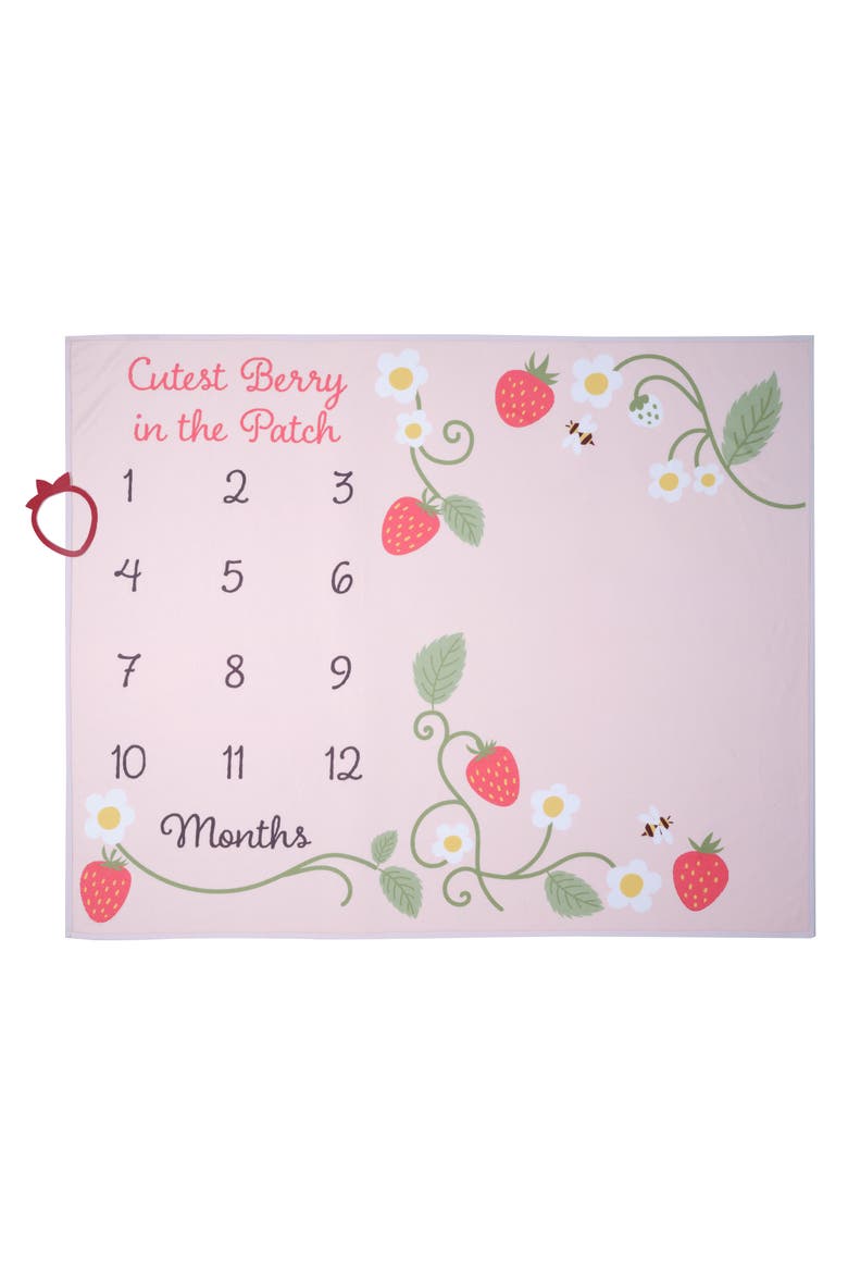 Strawberry Patch Milestone Photo Opportunity Fleece Baby Blanket, Alternate, color, Pink