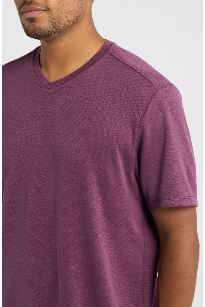 Keyport Diamond V-Neck IslandZone® T-Shirt, Alternate, color, SHADOW PLUM
