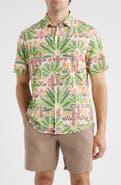 Tommy Bahama Bahama Coast Palm Pointed IslandZone® Short Sleeve Button-Up Shirt