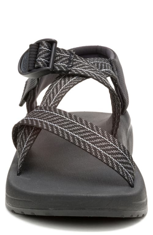 Chaco Cushz Sandal In Frond Black