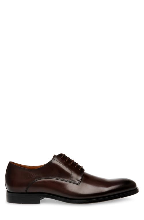 Steve Madden Daedric Derby In Brown