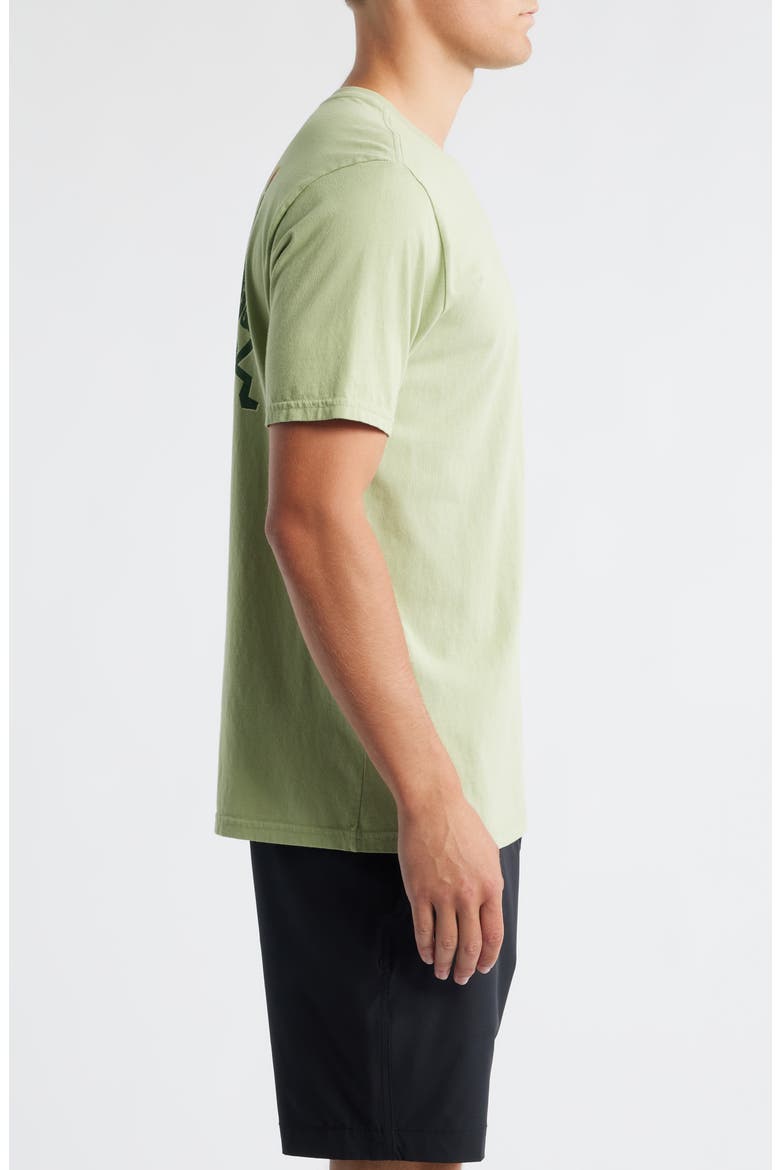 Cactus Garden Cotton Graphic T-Shirt, Alternate, color, SFM