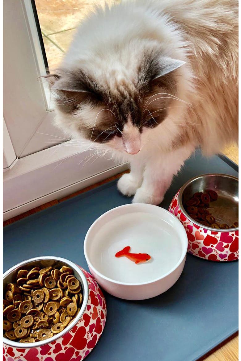Goldfish Ceramic Cat Bowl, Alternate, color, WHITE