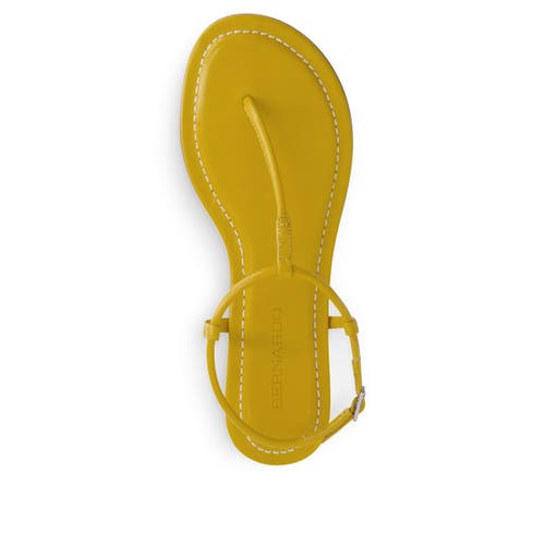 BERNARDO FOOTWEAR BERNARDO FOOTWEAR HERCU T-STRAP SANDAL 