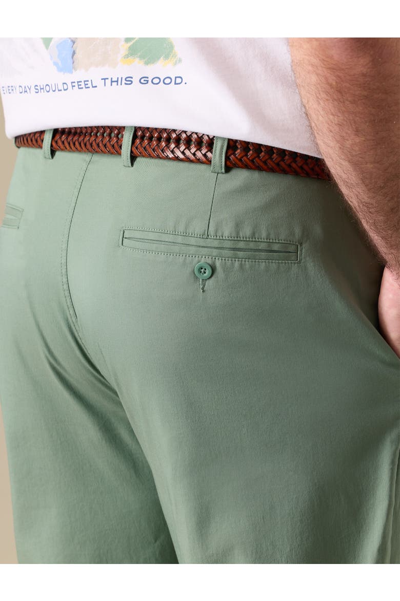 Big & Tall Chillmark Chino Pants, Alternate, color, OLIVE DUSK