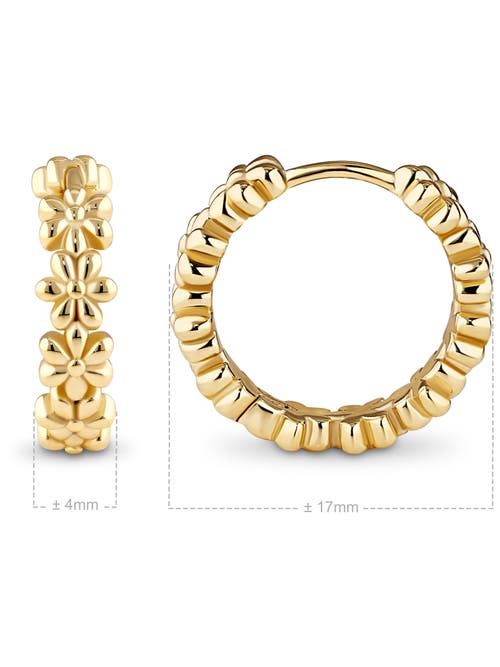 Devata Daisy Flower Hoop Earrings In Gold