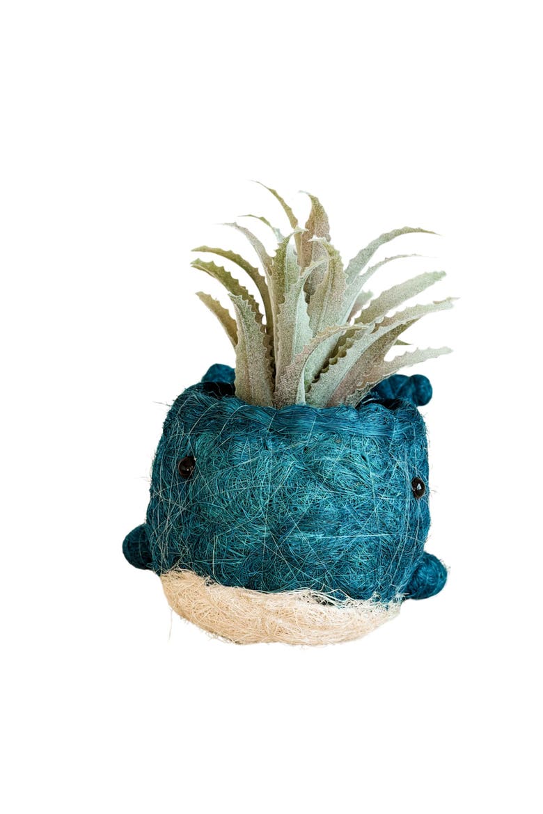 Aquatic Animal Coco Coir Planters, Alternate, color, Blue