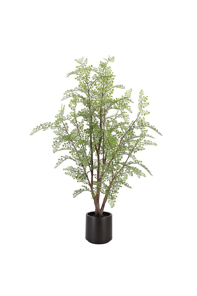 Faux Maidenhair Fern, Main, color, Green