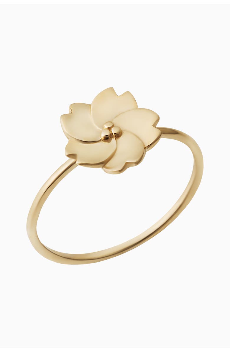Oradina 14K Gold Fresh Bouquet Ring, Main, color, Yellow Gold