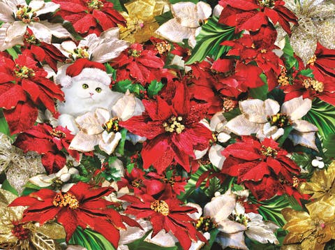 Popping Out 1000 piece Jigsaw Puzzle for Adults