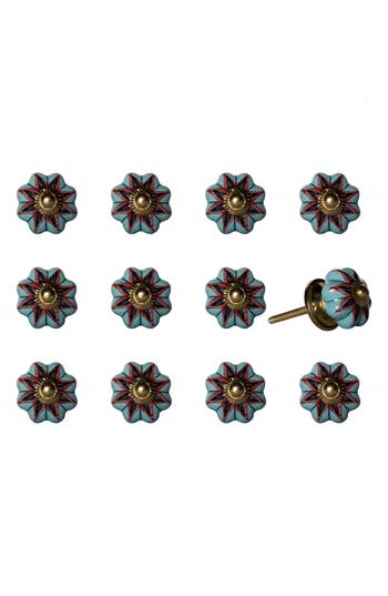 Shop Kinetic 12-pack Knobs In Orange Aqua
