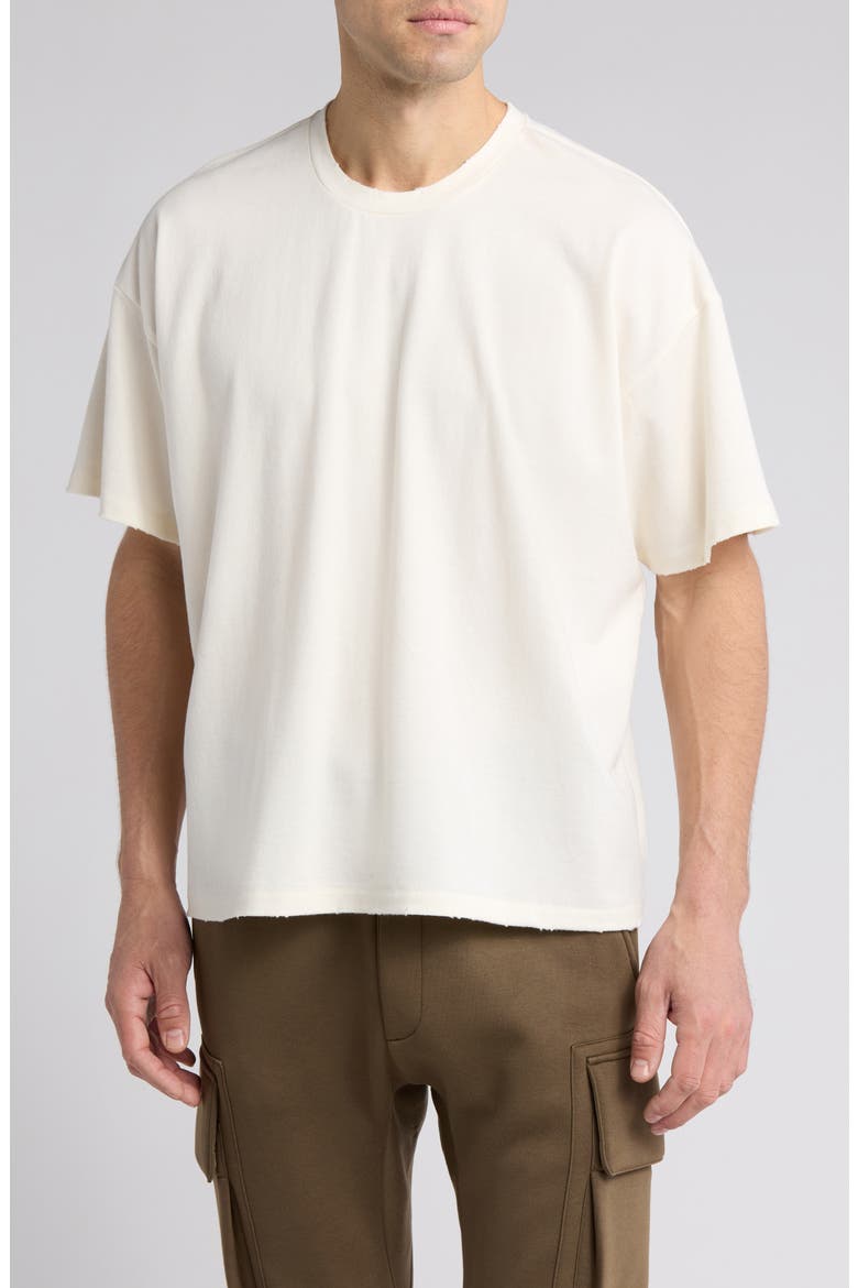 Dodgy Distressed T-Shirt, Main, color, NATURAL