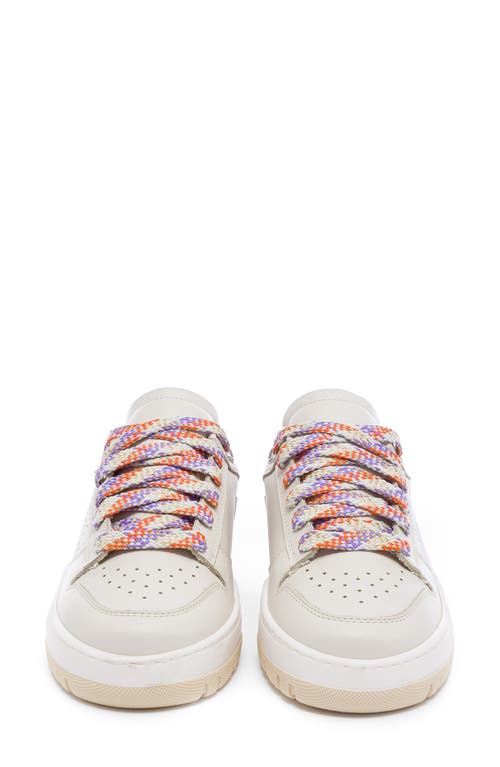 P448 Mason Low Top Sneaker