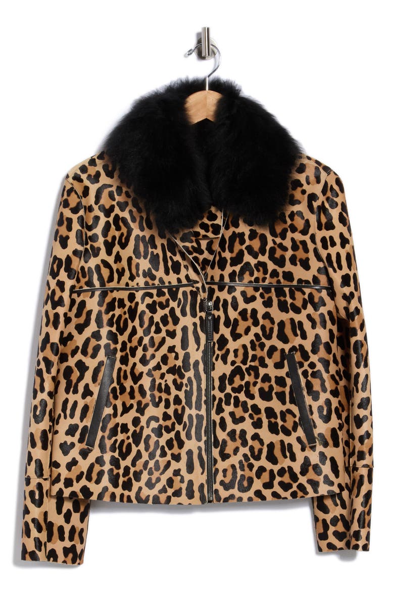 Genuine Calf Hair Jacket with Genuine Shearling Collar, Alternate, color, CAMEL