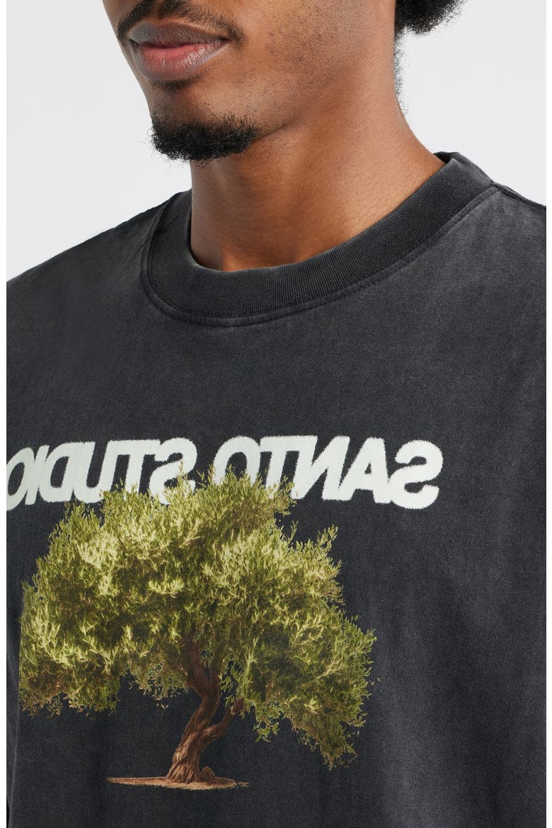 Olive Tree Graphic T-Shirt, Alternate, color, VINTAGE BLACK