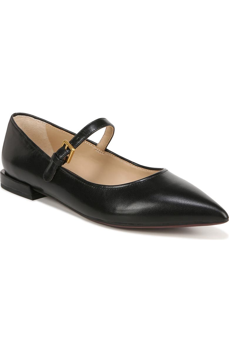 Franco Sarto Nalin Pointed Toe Flat, Main, color,