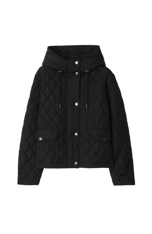 Burberry Cropped Quilted Nylon Hooded Jacket