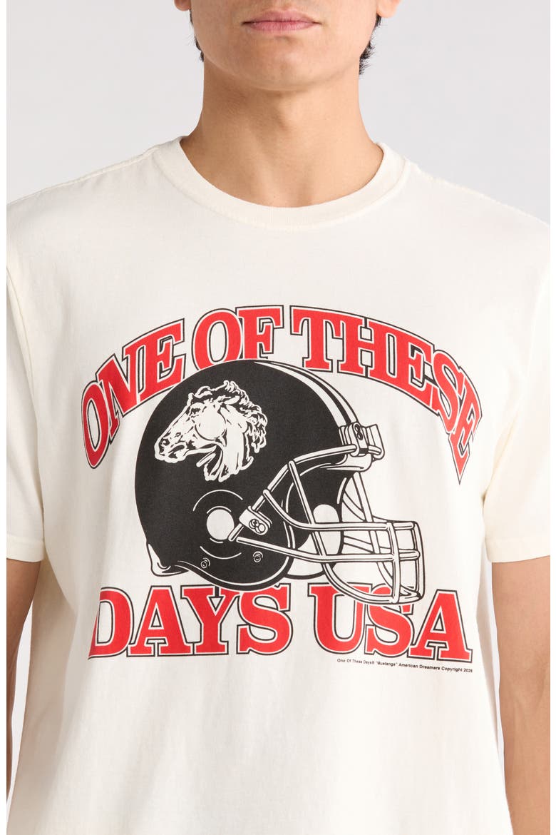 Days USA Cotton Graphic T-Shirt, Alternate, color, BONE