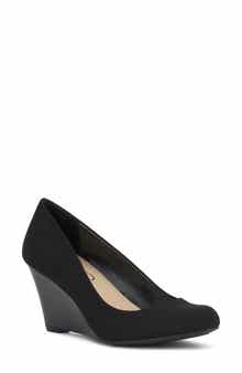 Sampson Wedge Pump