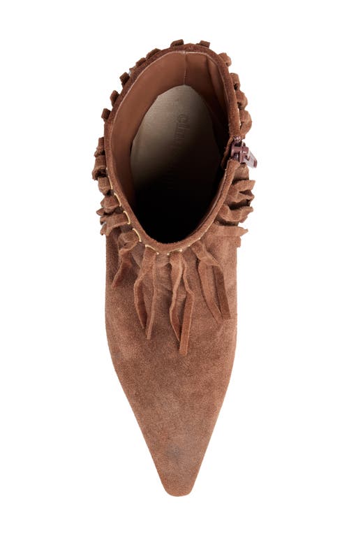 Cinq À Sept Sammy Fringe Bootie In Brown