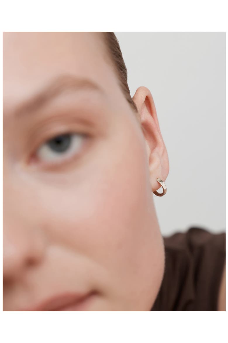 Essential Huggie Hoop Earrings, Alternate, color, STERLING SILVER