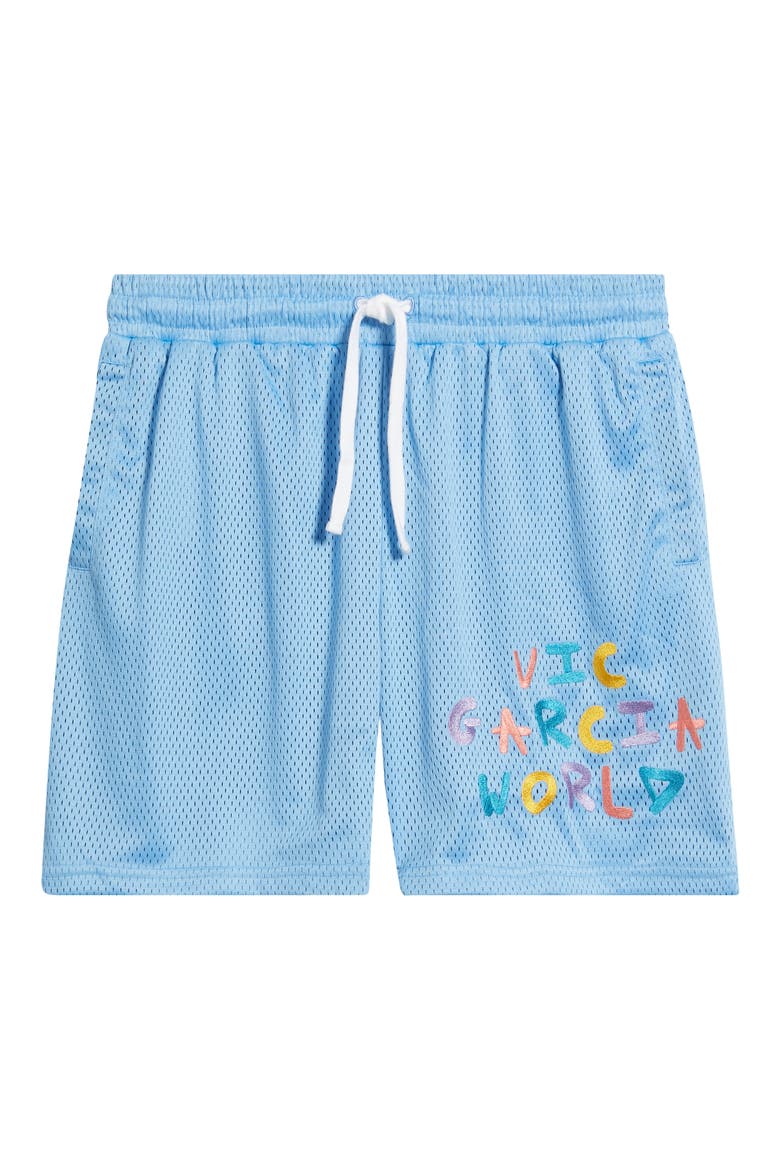 Drip Nylon Mesh Shorts, Alternate, color, ROYAL