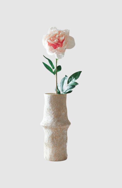 Light Pink Large Peony Flower