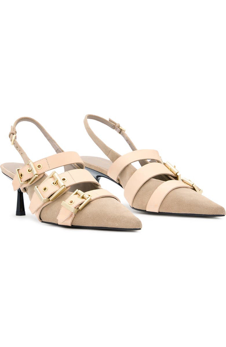 AllSaints Vivian Slingback Pointed Toe Pump, Main, color, Sand Brown