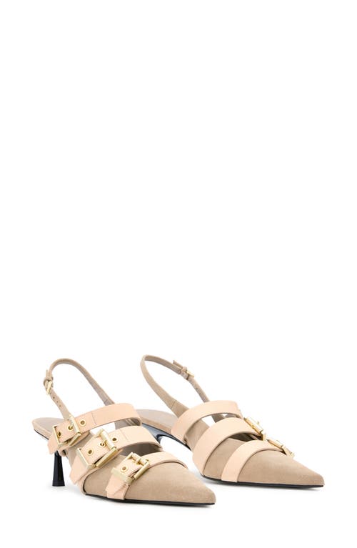 Allsaints Vivian Slingback Pointed Toe Pump In Sand Brown