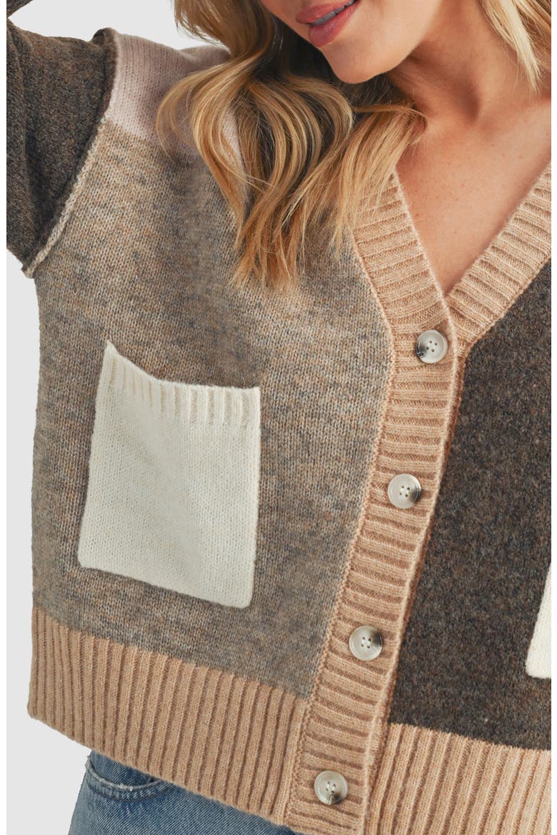 Colorblock V-Neck Cardigan, Alternate, color, TAN MULTI
